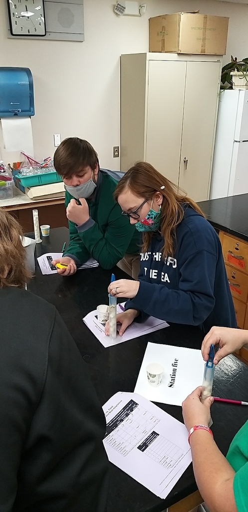 Students trying to get "grubs"/ marshmallows with their beaks.